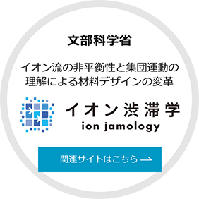 文部科学省　イオン渋滞学